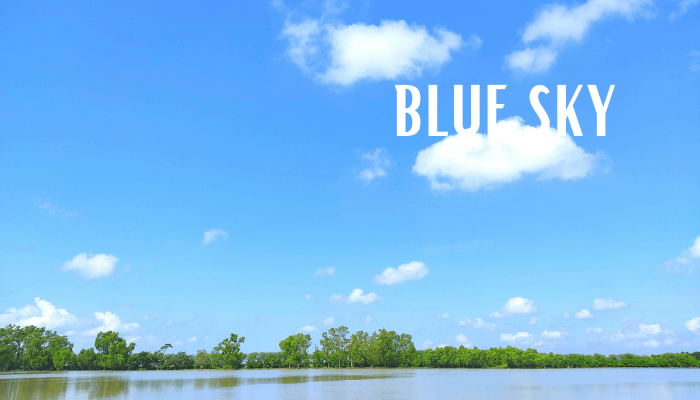 Sundarbans - Blue Sky