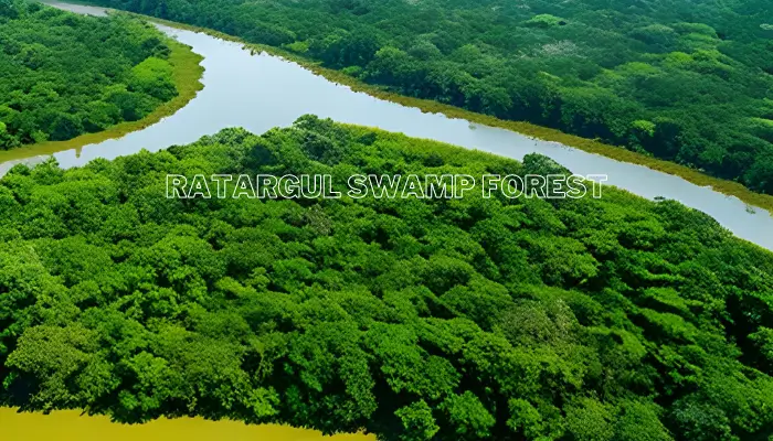 Ratargul Swamp Forest