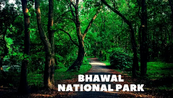 Bhawal national park