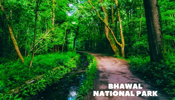bhawal national park