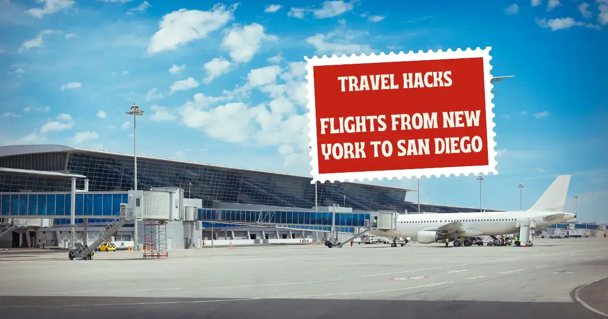 Flights from New York to San Diego: Ultimate Guide | Affordable Hotel Deals, Cheap Flights 